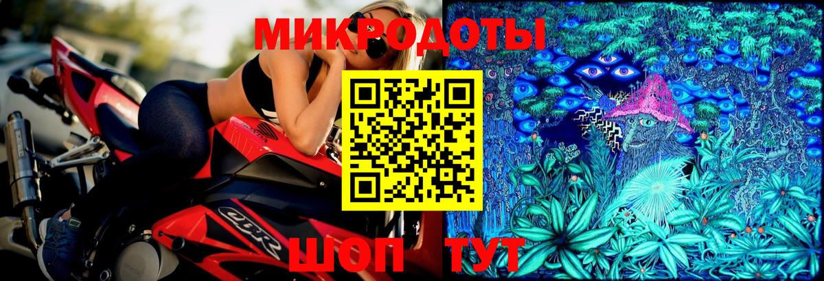 Псилоцибиновые грибы Cubensis Волжский