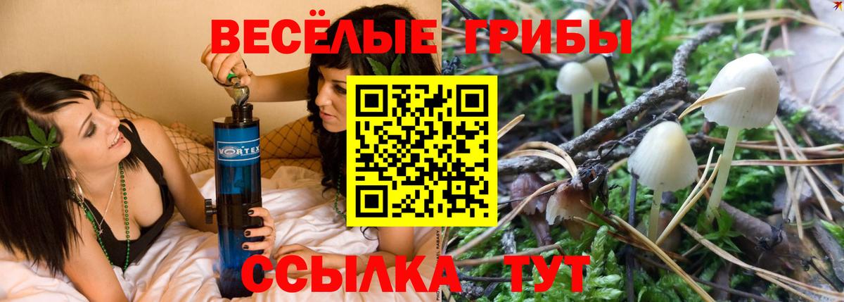 Волжский  Галлюциногенные грибы GOLDEN TEACHER  Вход с VPN 
